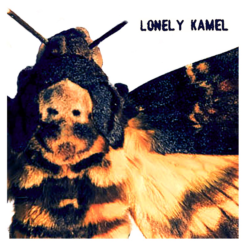 Lonely Kamel - DEATH'S-HEAD HAWKMOTH